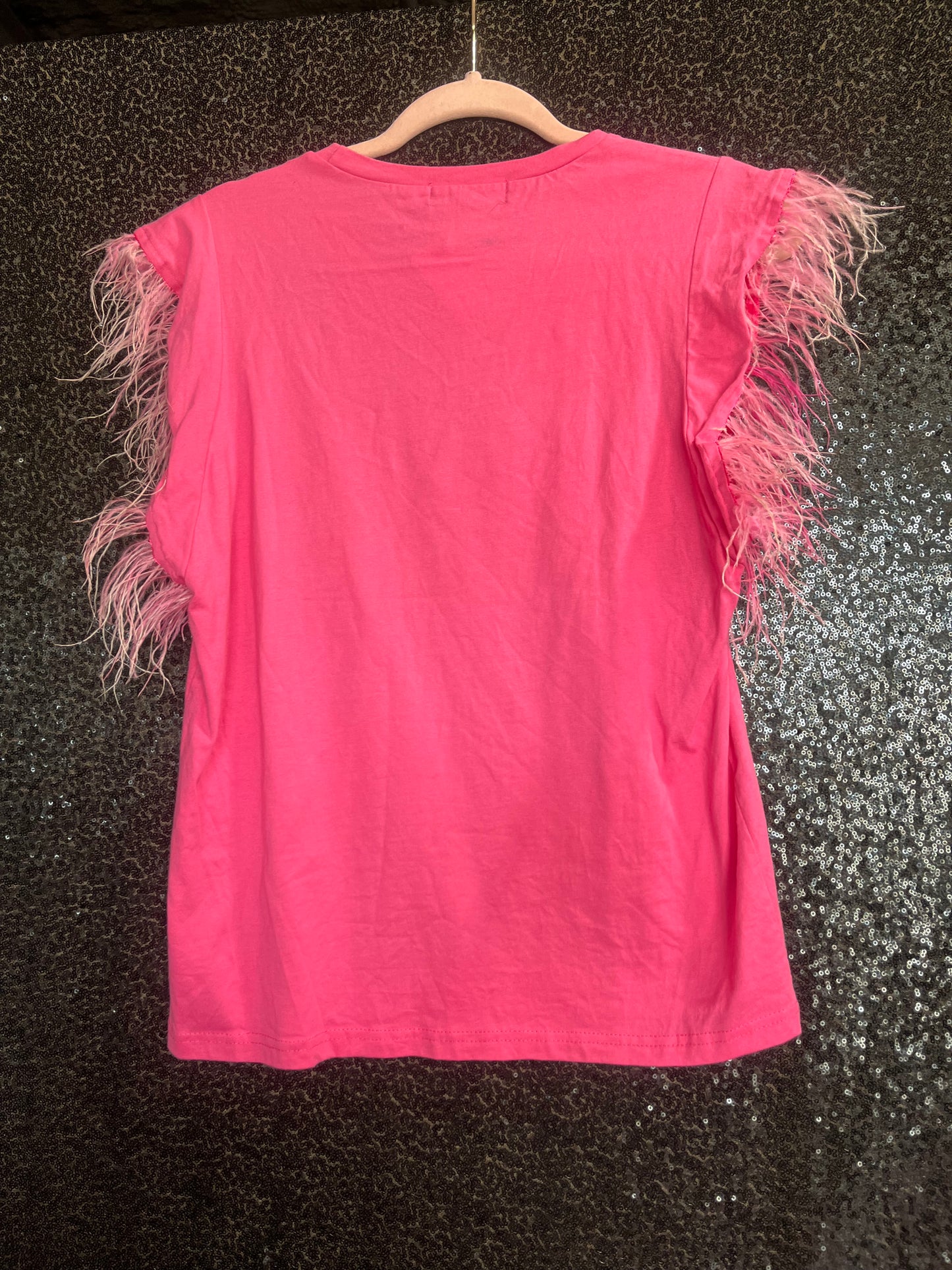 Pink Top with Feathered Sleeves