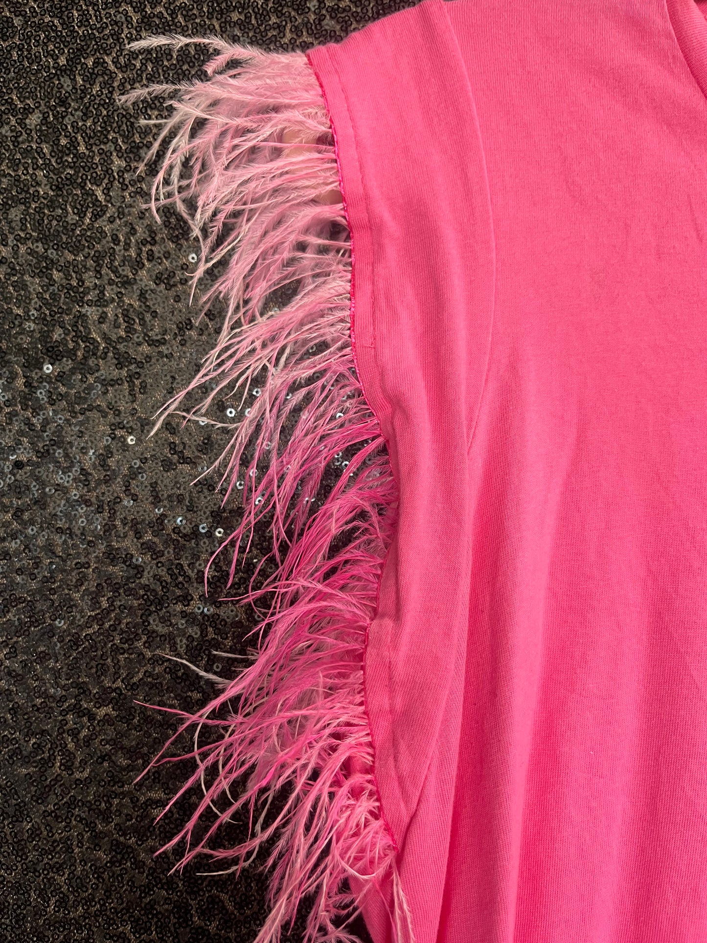 Pink Top with Feathered Sleeves