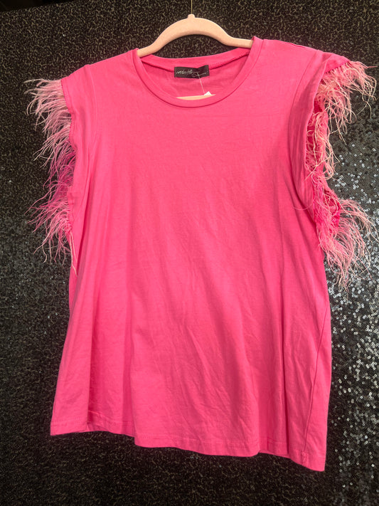 Pink Top with Feathered Sleeves